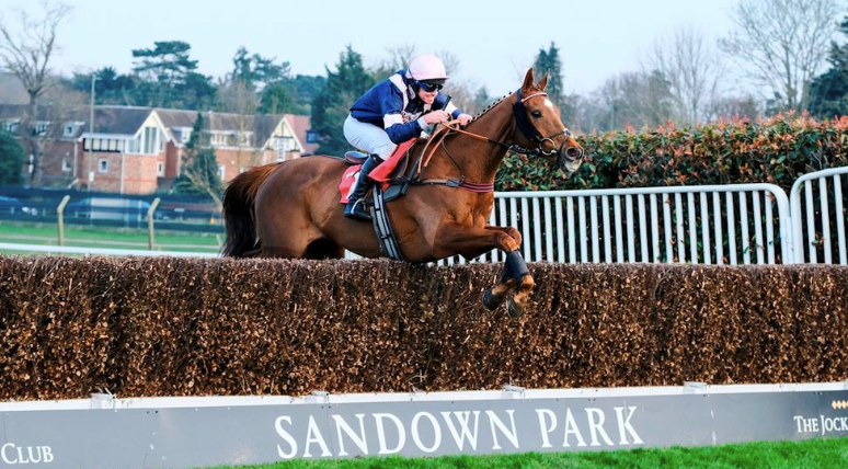 🗓️ What's On: 5th-11th February 2026