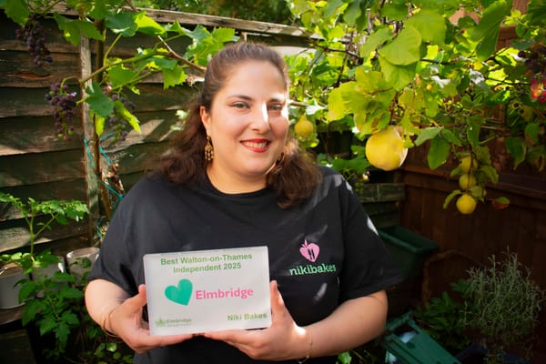 🧁 Gluten-Free Goodies: nikibakes' Recipe for Success!